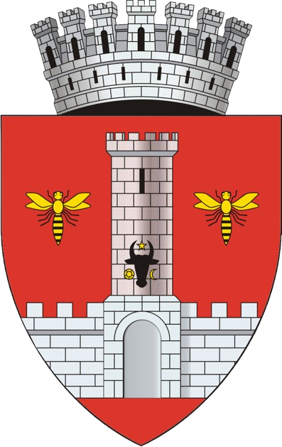 logo primaria Vaslui